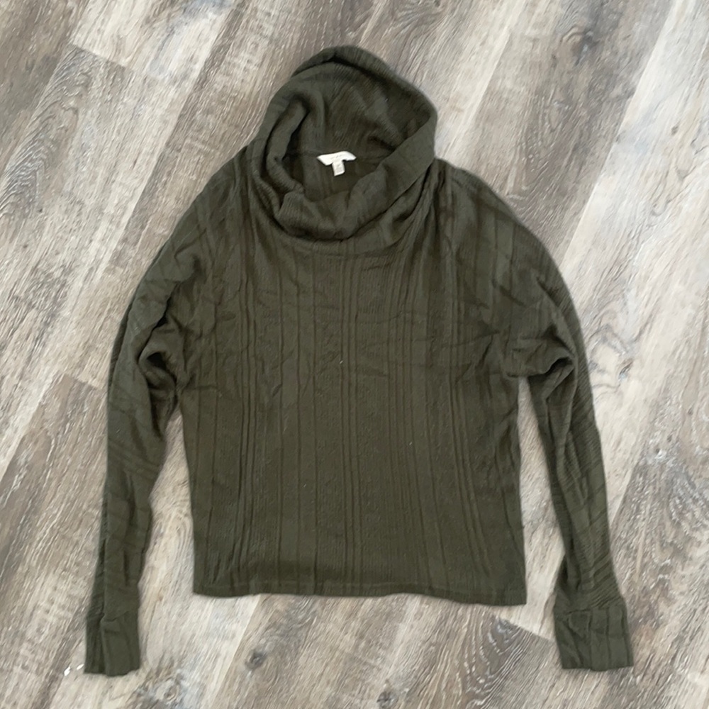Small, olive green sweater